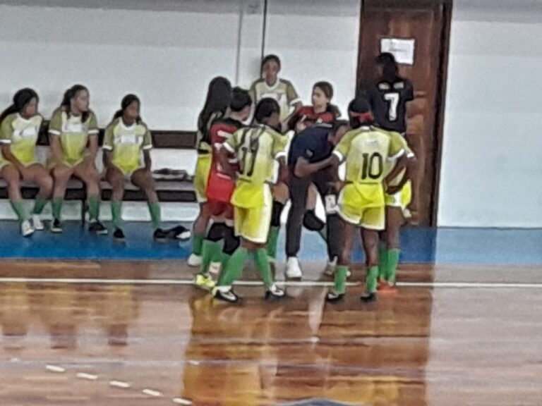 Leia mais sobre o artigo *As guerreiras da Seleção feminina de FUTSAL juvenil helenense que jogam no JEMs, por pouco não ganharam a partida.*