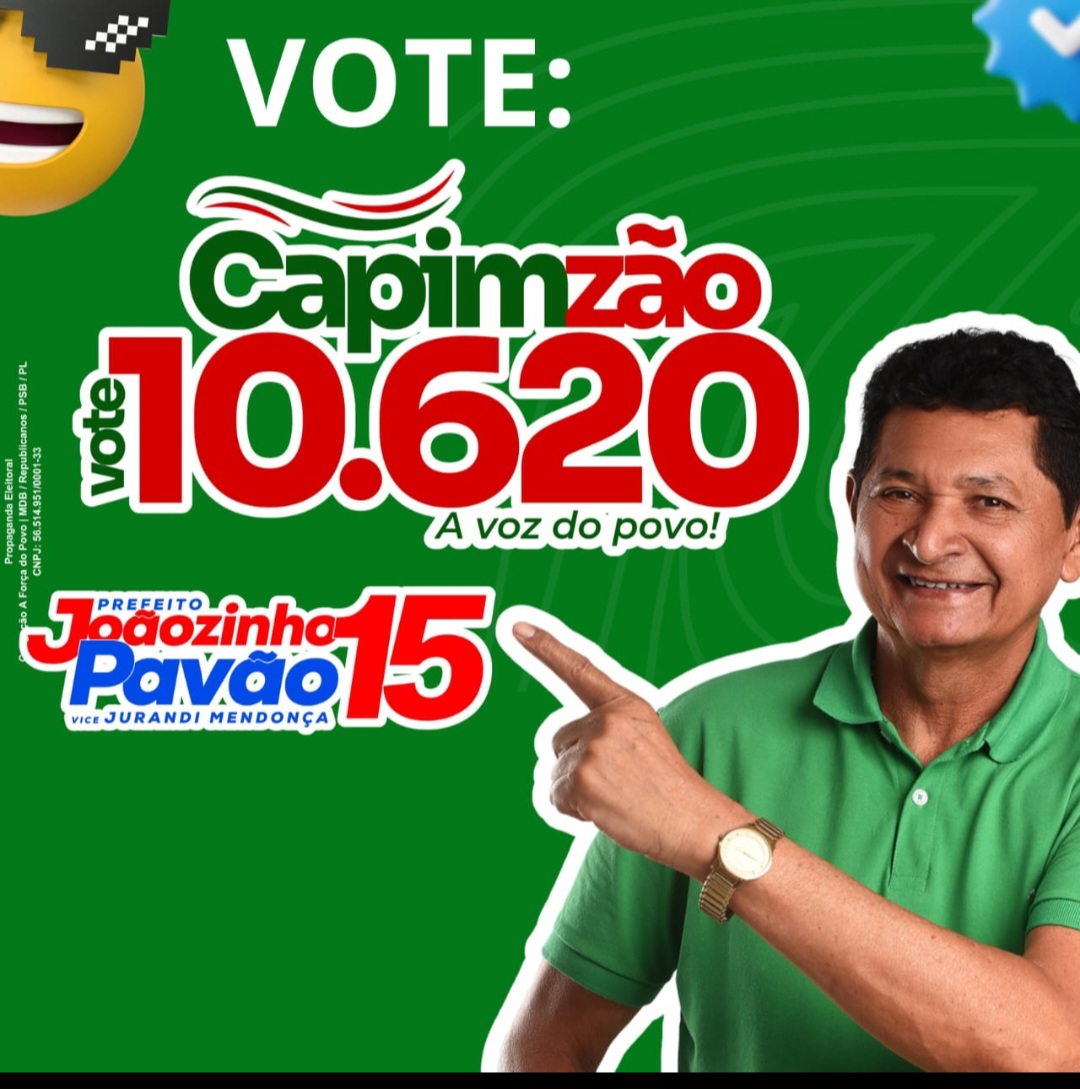 No momento, você está visualizando *Confira a lista de vereadores eleitos em Santa Helena-MA*