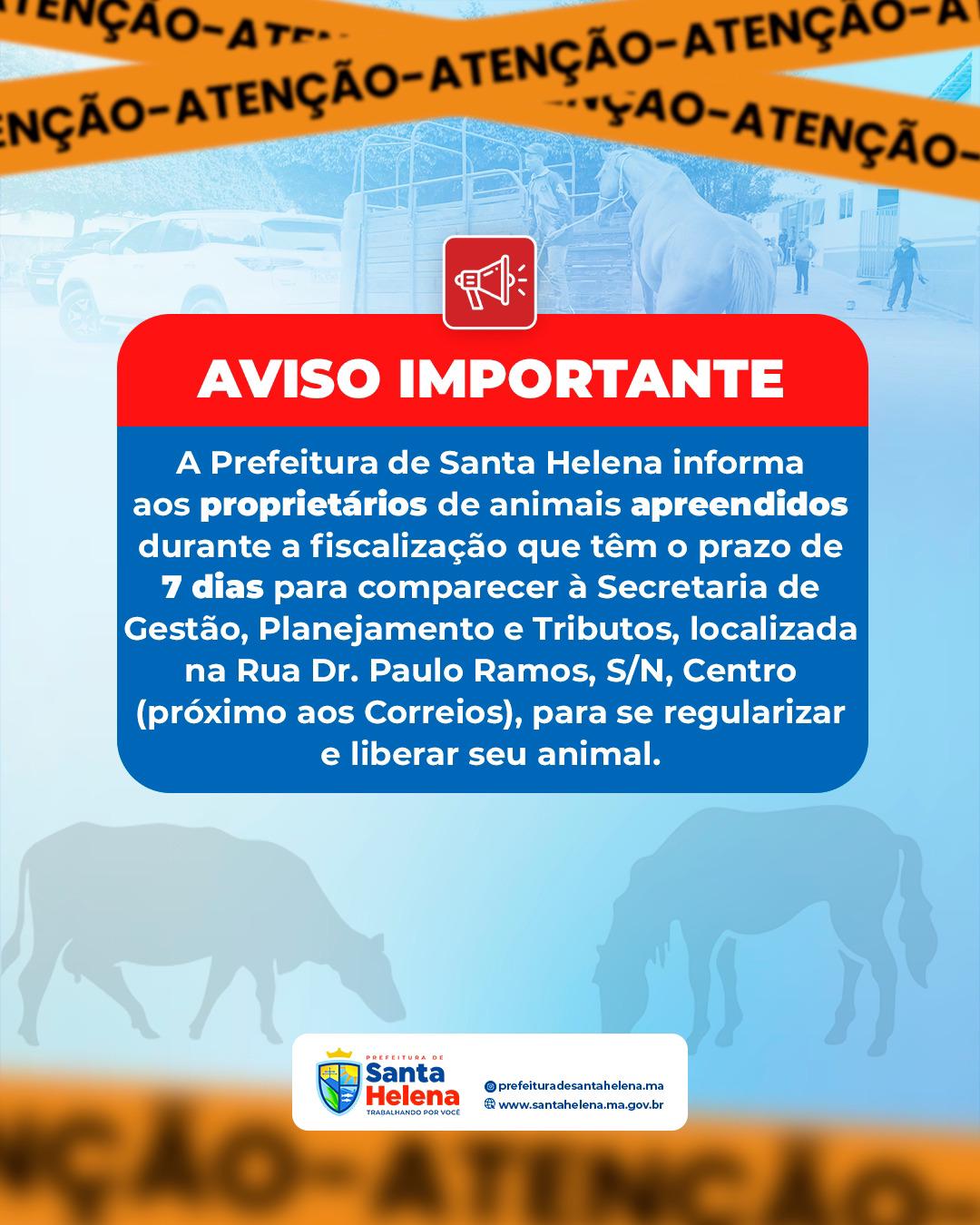 No momento, você está visualizando *Aviso: A Prefeitura de Santa Helena informa, que os proprietários de animais apreendidos possuem o prazo de até sete dias para resgata-ló.* Detalhes na matéria.