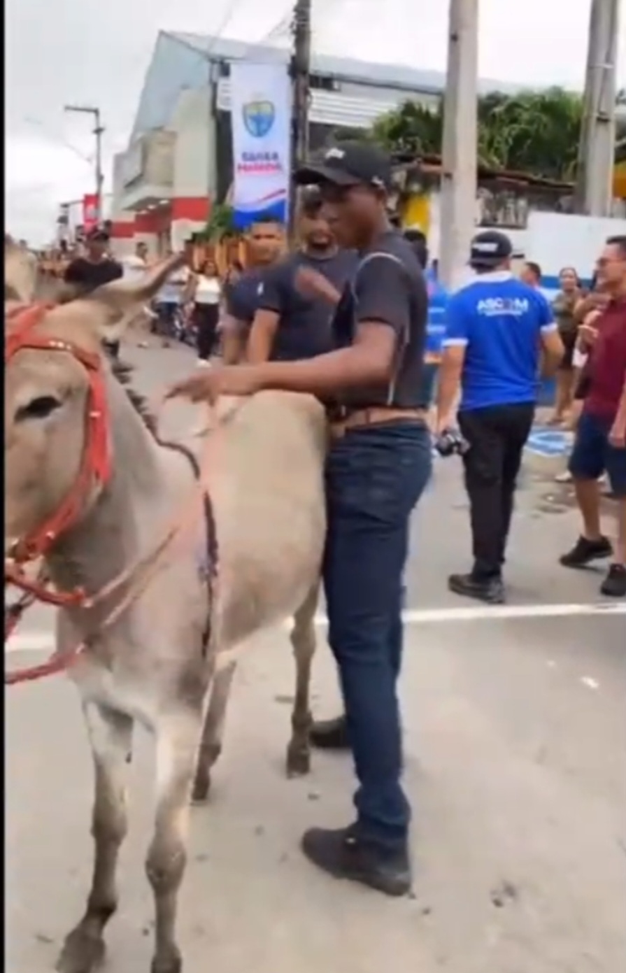 Leia mais sobre o artigo 