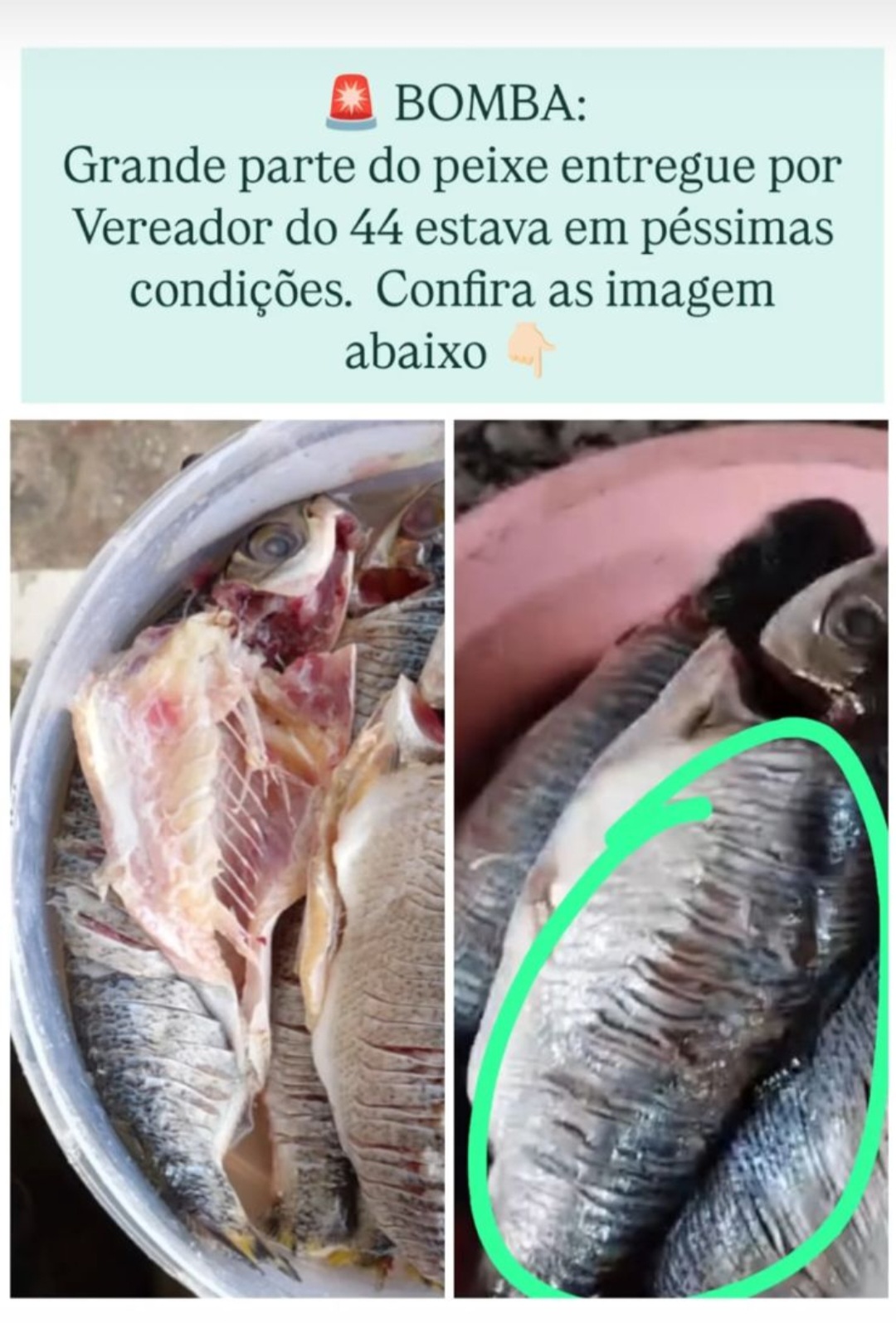 Leia mais sobre o artigo *Nem Judas traiu tanto: na Quinta-Feira Santa, vereador de Santa Helena tentou fazer média com a população e acabou protagonizando um escândalo — distribuição de peixe supostamente podre gerou revolta e uma enxurrada de denúncias nas redes sociais.*